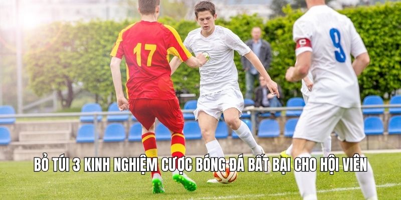 Kinh Nghiệm Cược Bóng Đá - Bí Quyết Thắng Lớn Từ Cao Thủ Bỏ túi 3 kinh nghiệm cược bóng đá bất bại cho hội viên