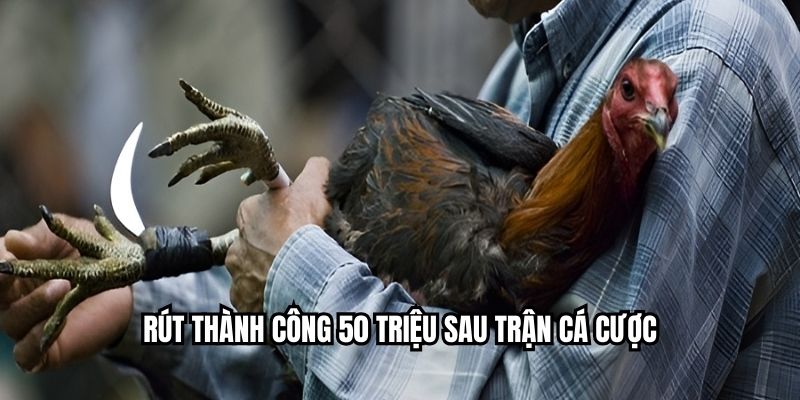 Cá Cược Đá Gà Chuẩn Nhất 2025 – Trực Tiếp Tại NEW88 Rút thành công 50 triệu sau trận cá cược