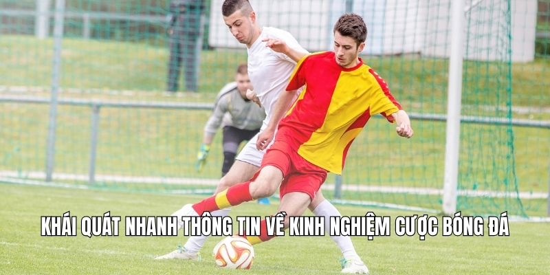 Khái quát nhanh thông tin về kinh nghiệm cược bóng đá